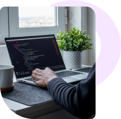 Web development illustration